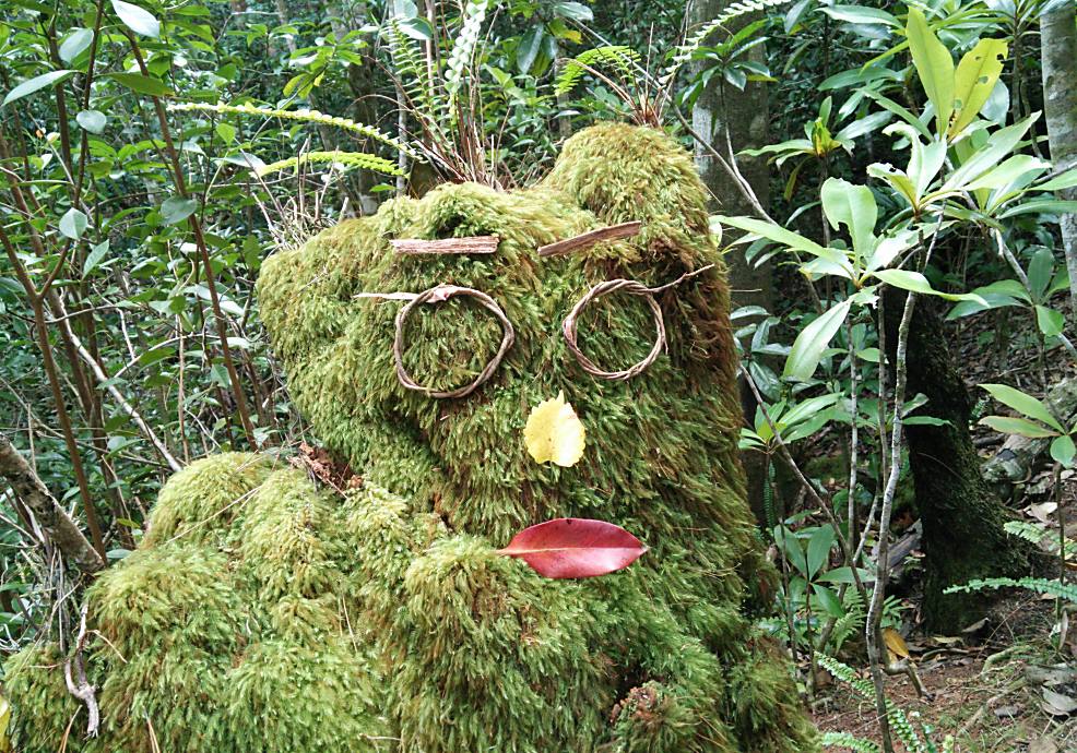 苔むすエリアでは遊び心をくすぐるようなオブジェも