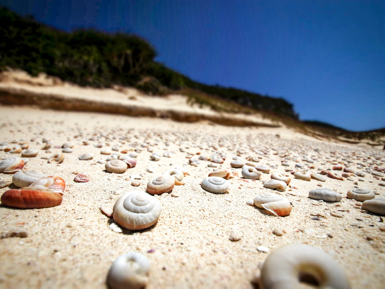 1000NȏOɐĂŎqx\J^}C}C̊LkLGA