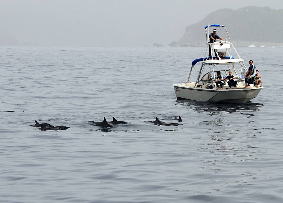 jȂł{[g̏ォhtBEHb`Oy߂܂