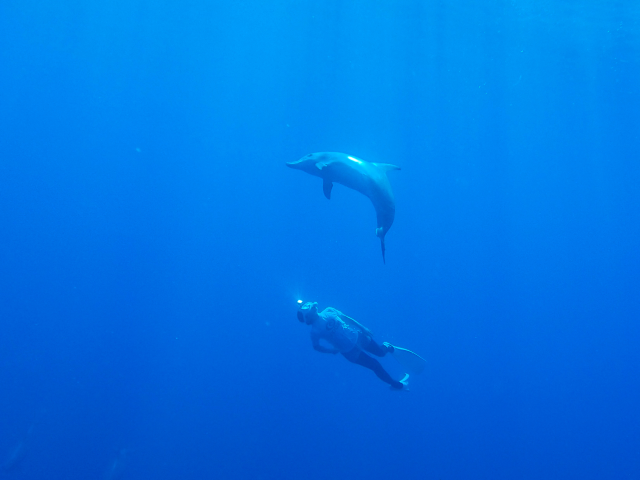 Ă炻[ƋߊĎ킹Ă݂Ă