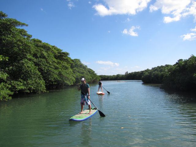 緩やかな川の流れなので上流までも楽々行けます!
