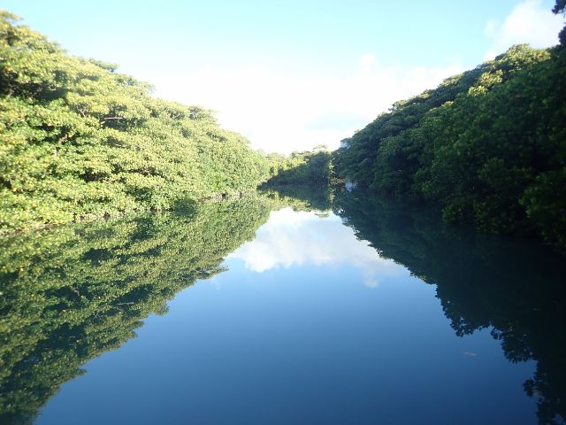 無風の時には水面が鏡となり・・・まるで雲の上でSUPしているよう!