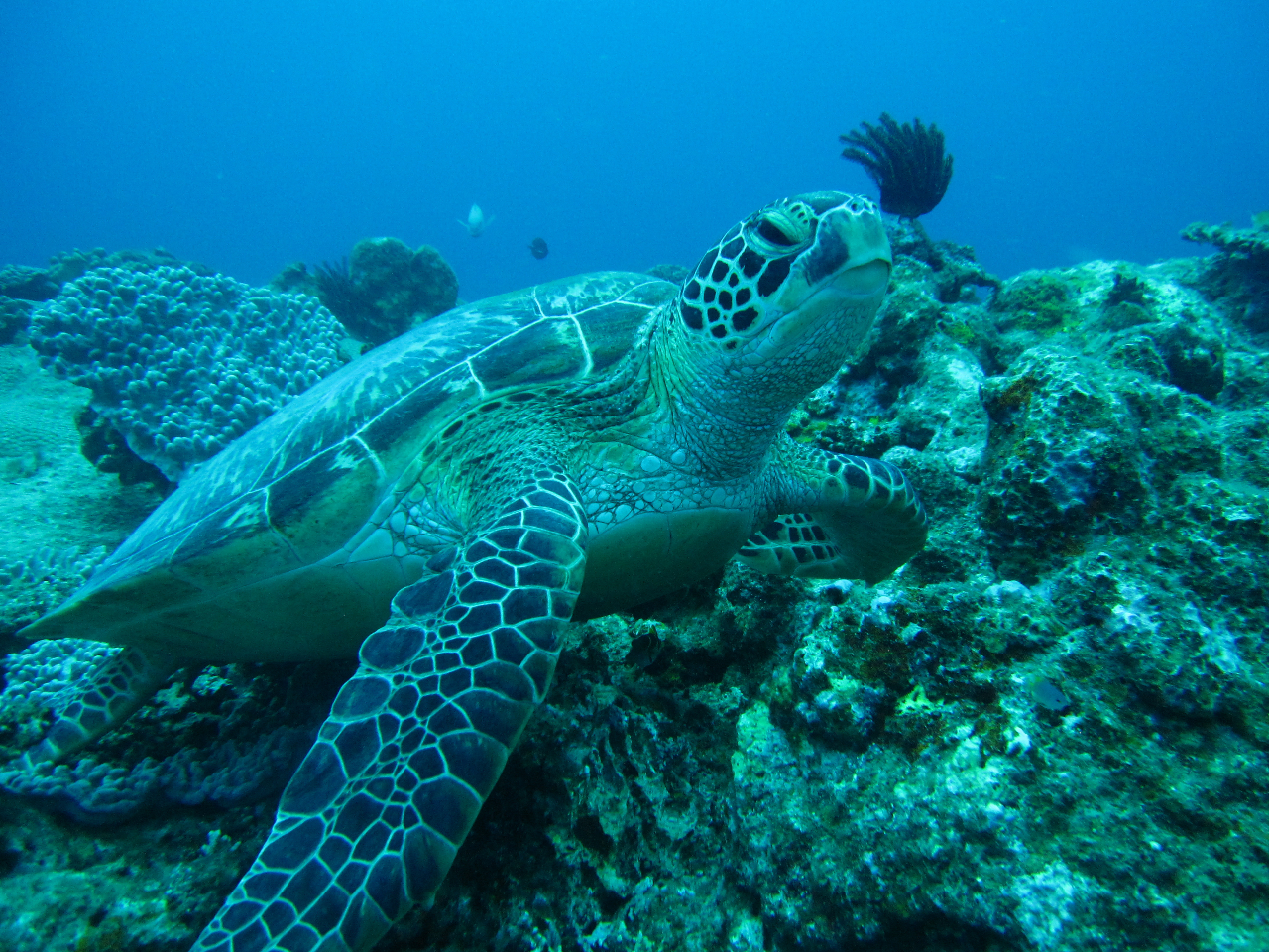 E~KɐGقǂ̋߂ŏo邱ƂXI