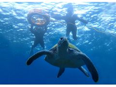 関東のシュノーケリング ボートシュノーケルランキングtop10 じゃらんnet 関東のシュノーケリング ボートシュノーケルランキングtop10 じゃらんnet