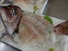 伊東市の釣り 釣り堀 渓流釣り 海釣り 釣り船等 ランキングtop10 じゃらんnet