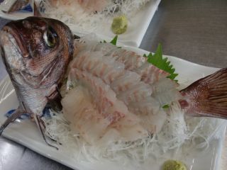 釣り上げた真鯛をその場で姿造り!!