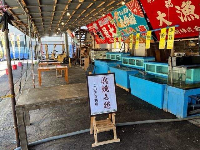 釣った魚以外にも新鮮な魚介がいっぱい!