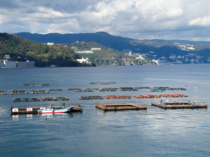 C̃CPXŒނy݂BDňړĂ܂i11,000(ŕ)ŎQł܂j