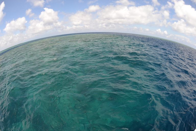 ���d�����̊C�I