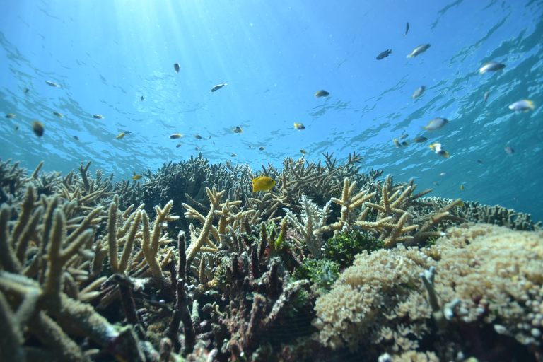 ���d�����̋�����