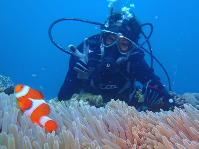 |}XNɐ̂|ɂ߁IIttF[X}XŇ_CrO