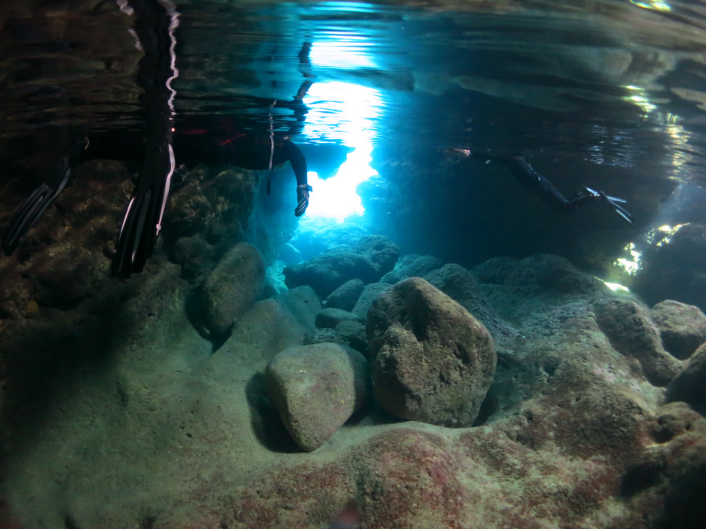 ċGɂ́A̓Ał̃Vm[PO