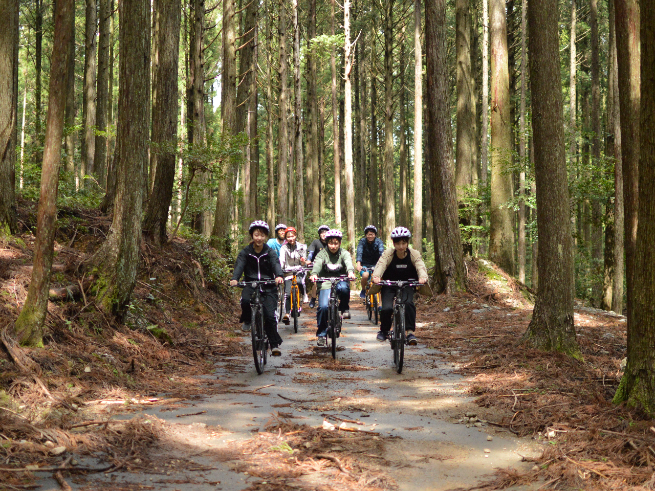 ѓE-BikełޑuBł͖킦܂