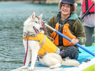 お待たせしました♪ご要望にお応えして、ドッグSUPプランをオープンしました^^