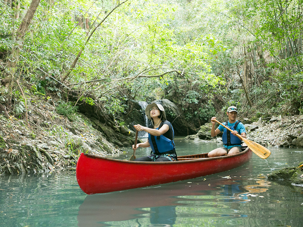 VerdẽtB[h͂́uWON[Yv͂ł