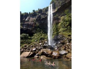 沖縄県最大の滝ピナイサーラ!滝壺では泳げますよ!