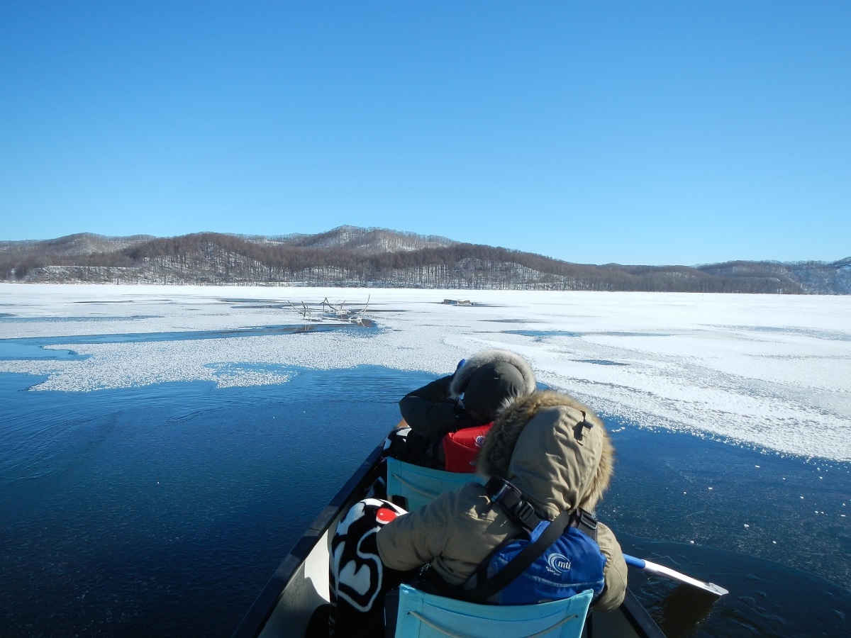 X_20IΖʂɂ͕X̉؃tXgt[L܂B