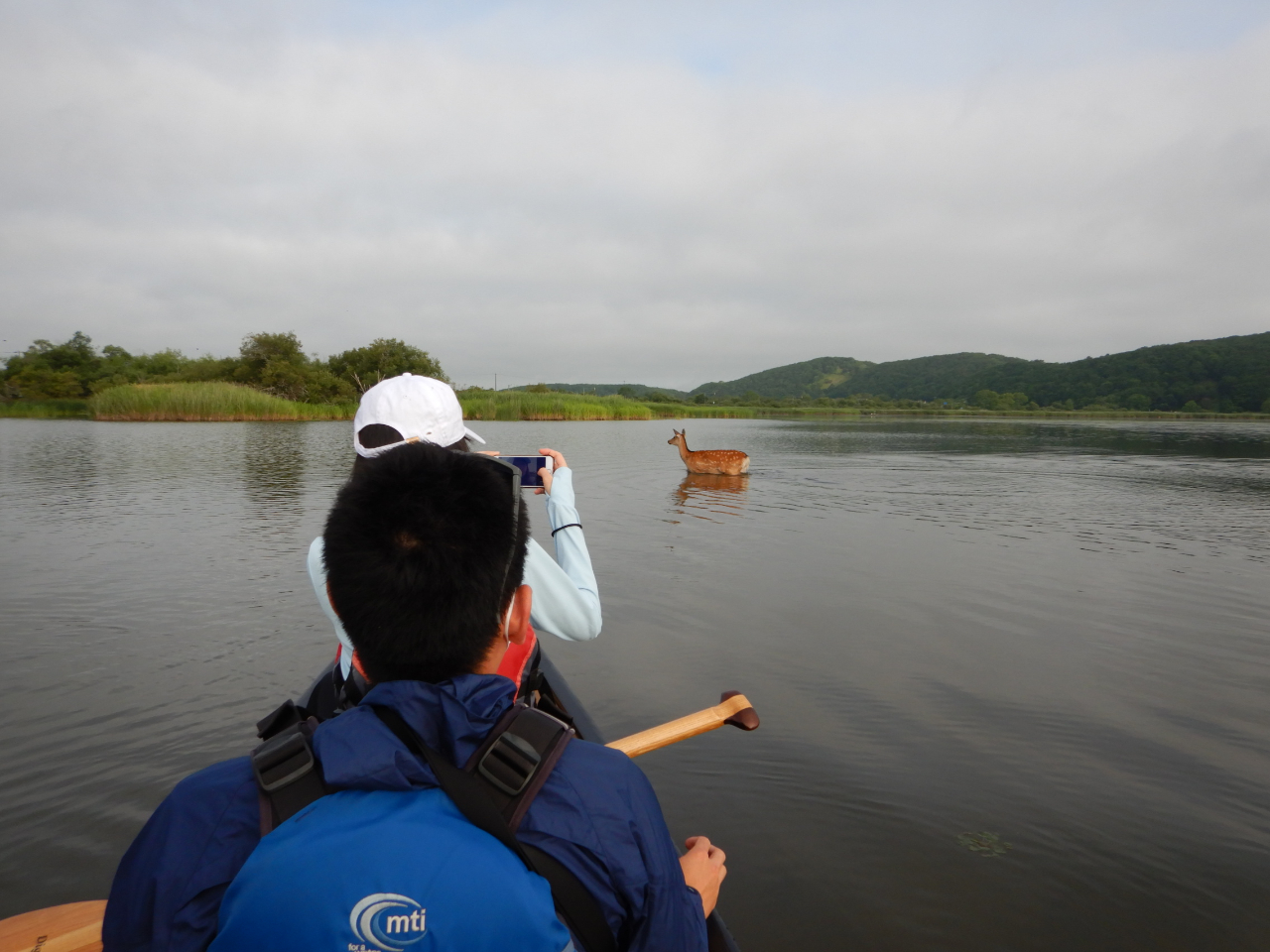 ���H�΂�n��G�]�V�J�̎p