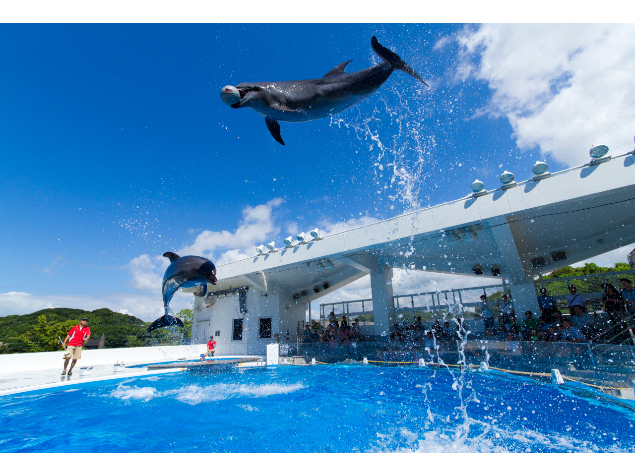 �C���J�v���O����