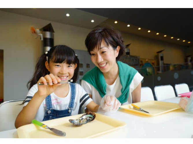 �^��̋ʏo���̌�