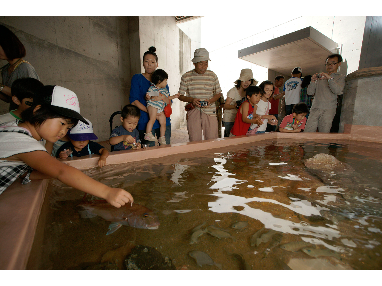 �G�T��萅��