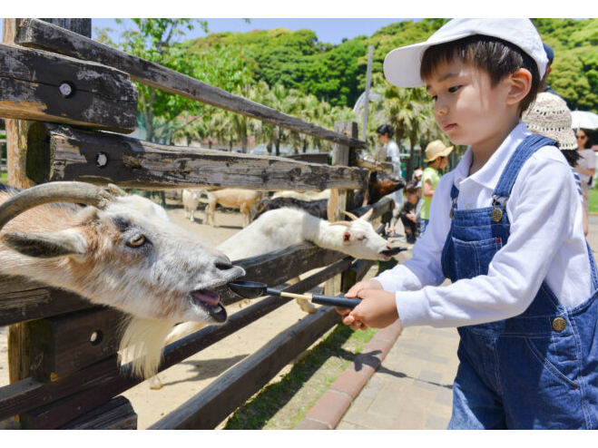 �G�T���i���M�E�q�c�W�j