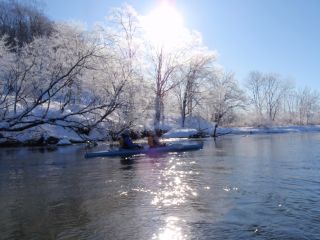 釧路川カヌー カーブ付近