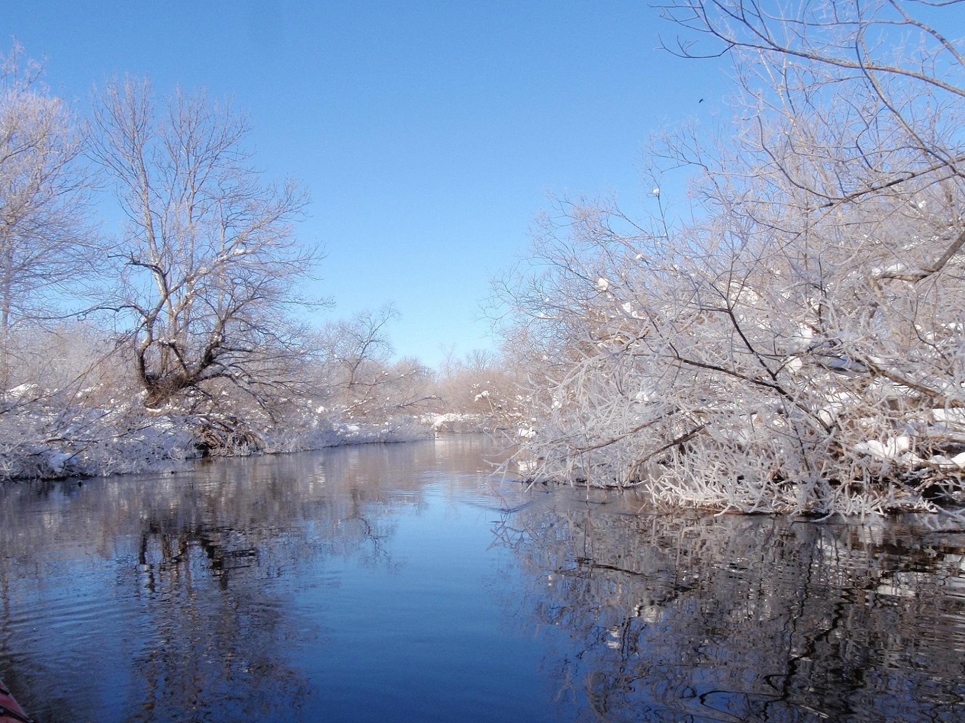 �A���L�i�C��