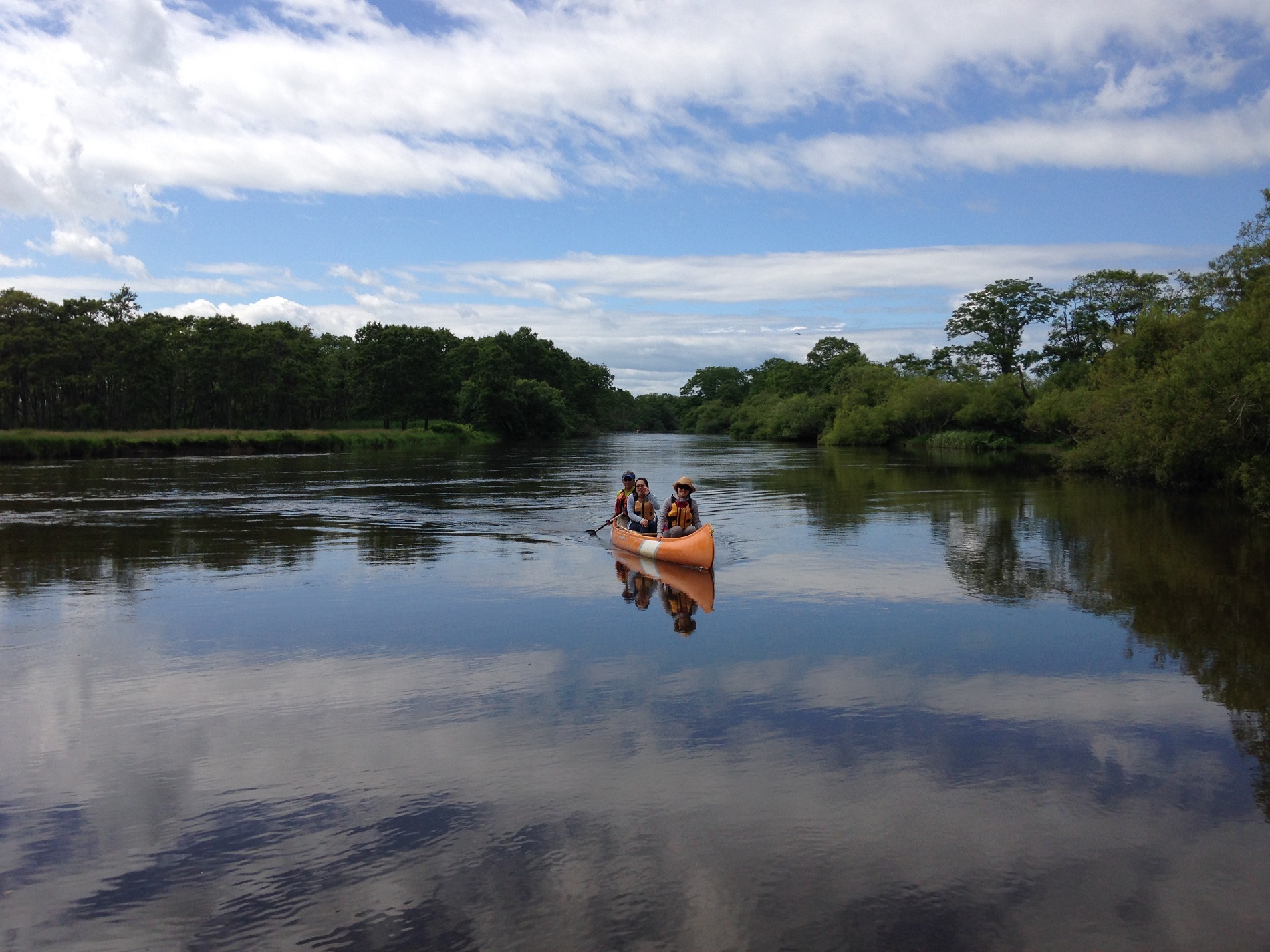 (2025午前の釧路川カヌーツアー)塘路~釧路川本流~細岡 (車で現地プラン)