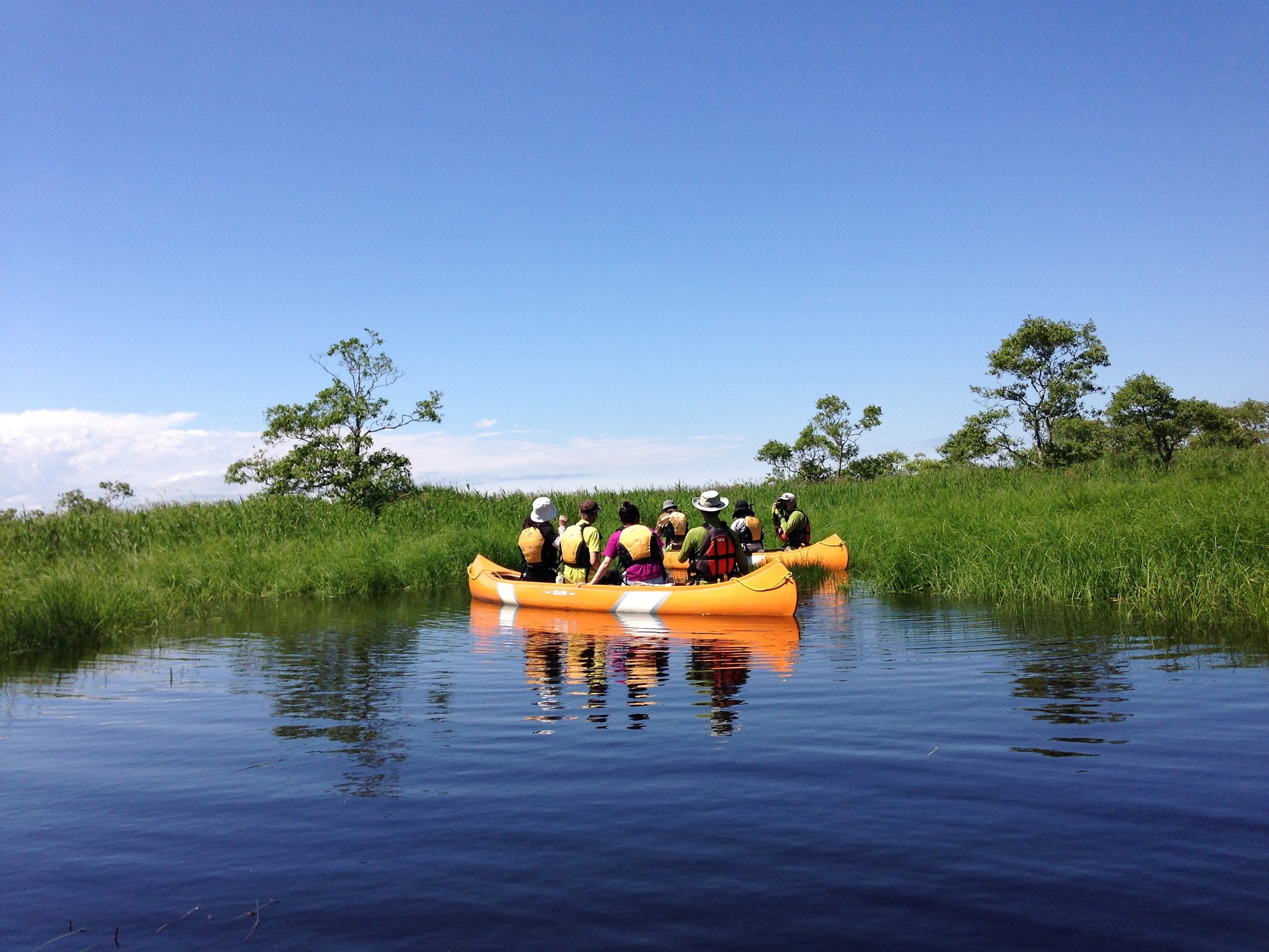 rxeA̓ƐVNȎ_fՂzƁAXbL܂