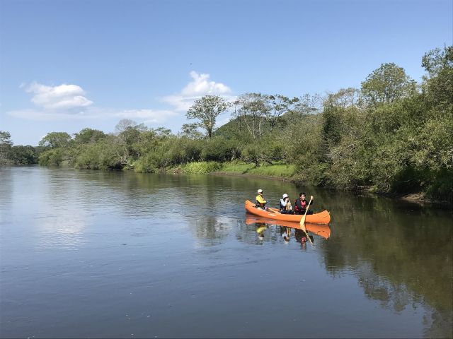 爽やかな夏の湿原