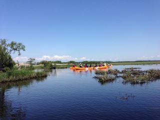 国内では最大の広い釧路湿原を間近に味わえます