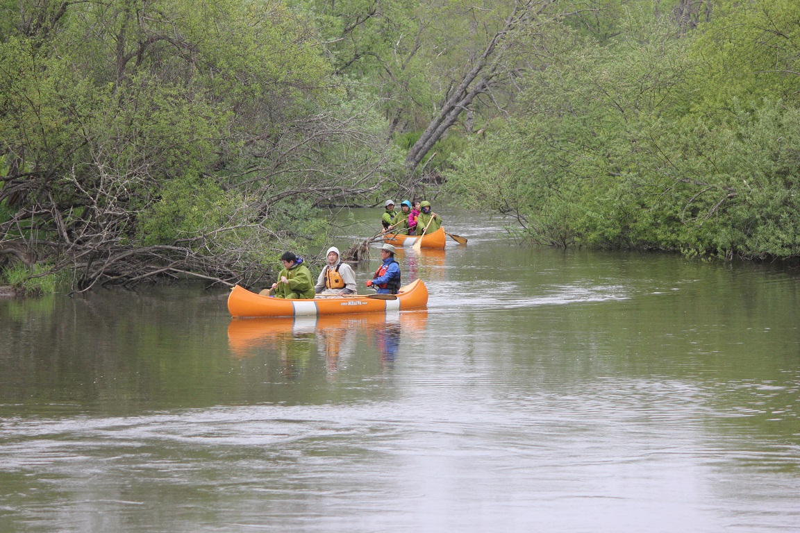 ���H��{���ɏo��Ɛ앝�L���Ȃ�܂�