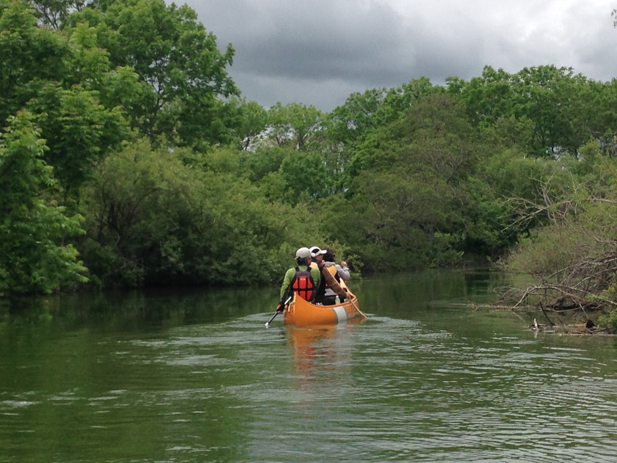 �W�����O�����ۂ��A���L�i�C��