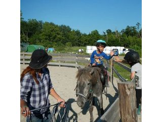初めての方やファミリーに最適!ちょっと気軽に馬との出会いを体験できます。