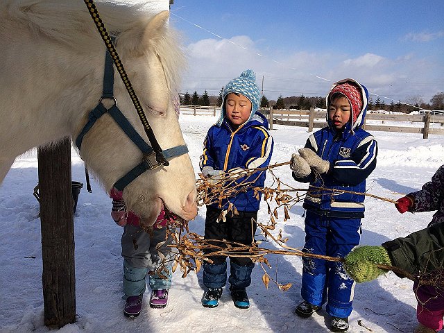 ߂Â̈ɁA܂̓GTHׂĂ炢܂