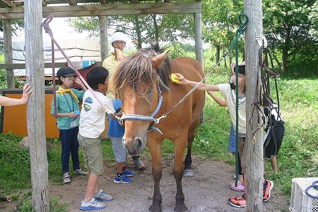 n̉ȂAubVOBC悳ɂĂ܂