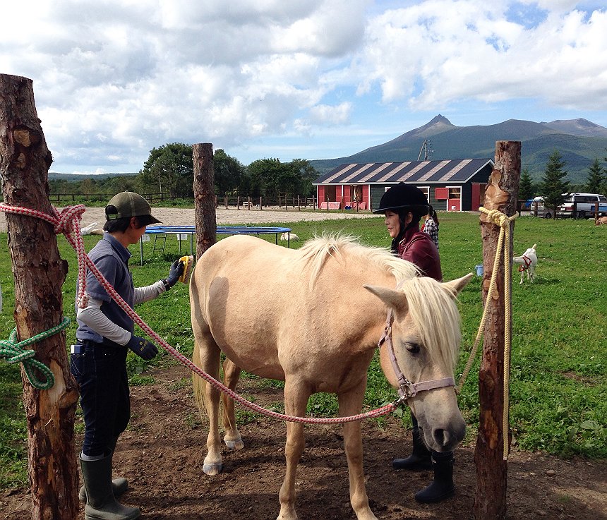 n̑Oɂ͔nƂ̂ӂꂠŐS܂B