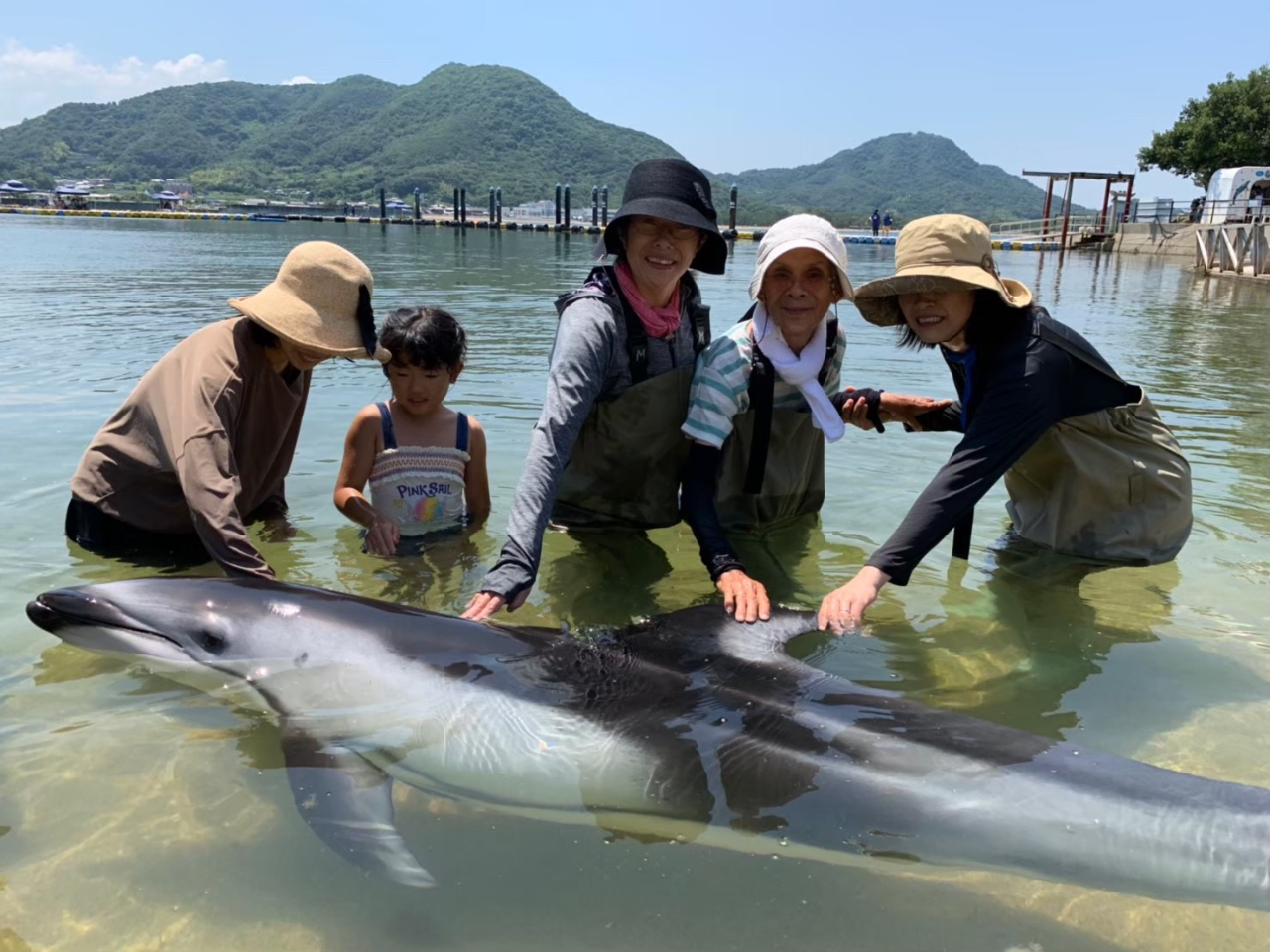 触れ合い体験 浅瀬でイルカにタッチ 泳ぐのが苦手な方にオススメです 日本ドルフィンセンター じゃらん遊び体験