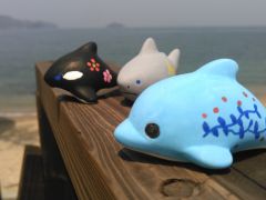香川のレジャー 体験ランキングtop10 じゃらんnet 香川のレジャー 体験ランキングtop10 じゃらんnet