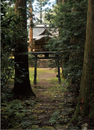 �����_�Ђ��̐_�Ђ́A���Ƃ̎��_�F�쌠�����͂��߂Ƃ���_�X���J���Ă��܂��B���̋��؂������̂ŁA�w�����_�Ёx�Ƃ������O�ɂȂ����ƌ����Ă��܂�