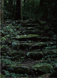 �\�Q���Βi