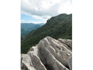 越知町 横倉山 馬鹿試し横倉宮の近くには「馬鹿試し」と呼ばれている約80mの石灰岩でできた断崖絶壁があります。