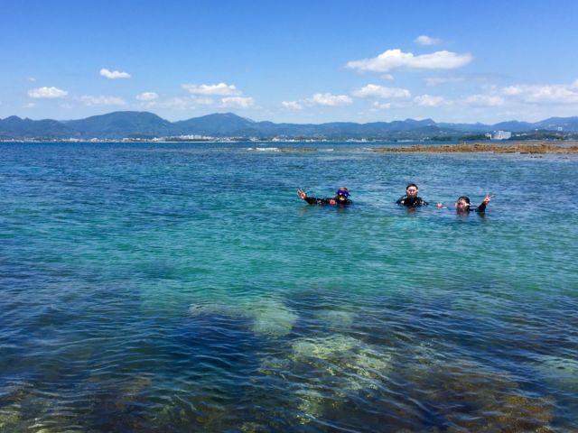 浅瀬にも魚はいっぱい