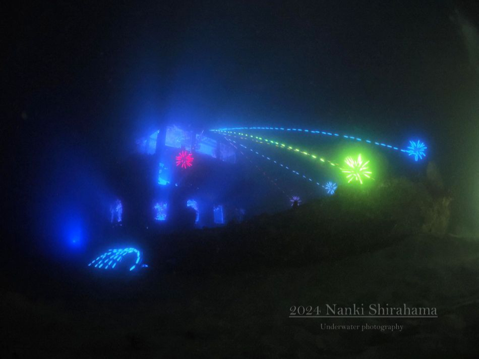 ナイトアクアリウムのイベント