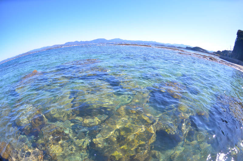 ꂢȌiFL苛Ƃ̏oII