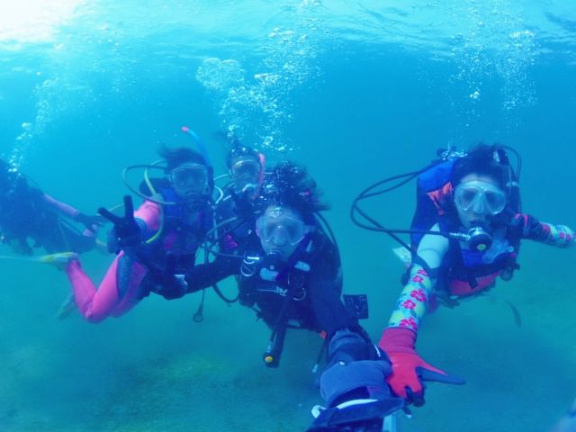 綺麗な伊勢志摩の海でダイビング!水中に潜った経験の無い方でも潜れますよ!