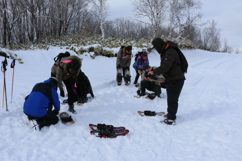 Xm[V[𗚂Đ̏XCXC܂II