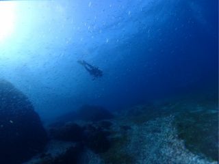 【中性浮力】覚えてますか?無重力を体感できるのはダイバーの特権!