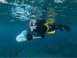 サメヘッド≠フスクーターで駆け巡る八丈島の海!